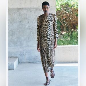 Zara Leopard Print Midi Dress